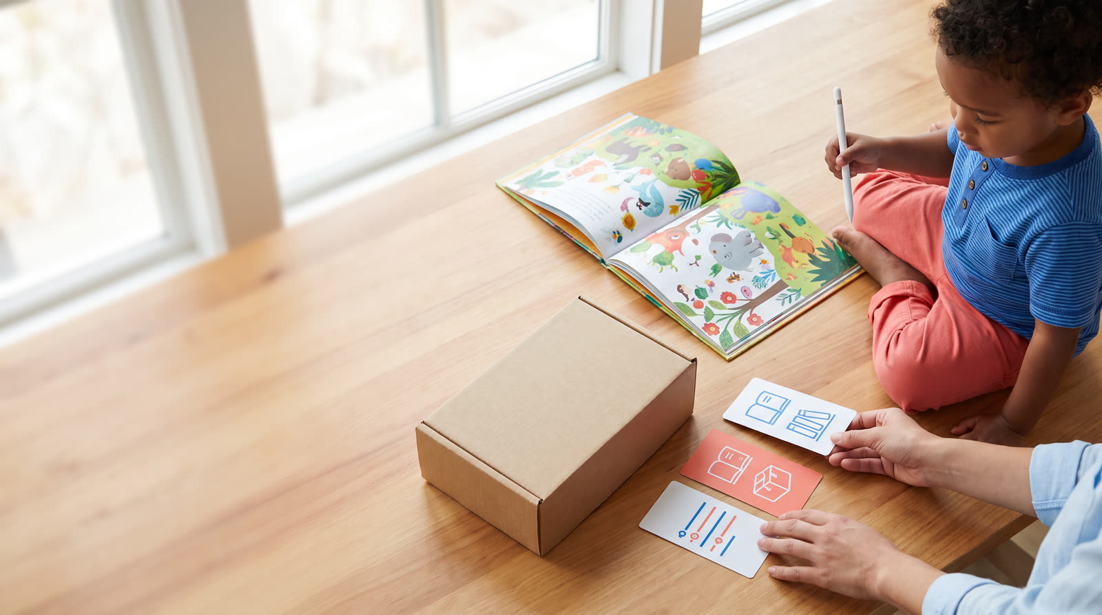 How Should a Publisher Coordinate ISBN, GTIN and OID-Code Roles for a Talking Pen Book Set?